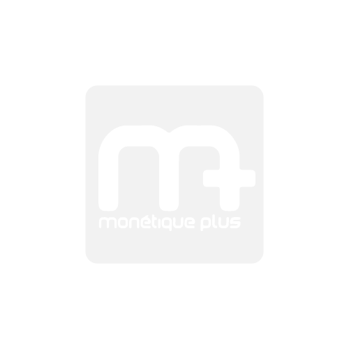 Monétique Plus